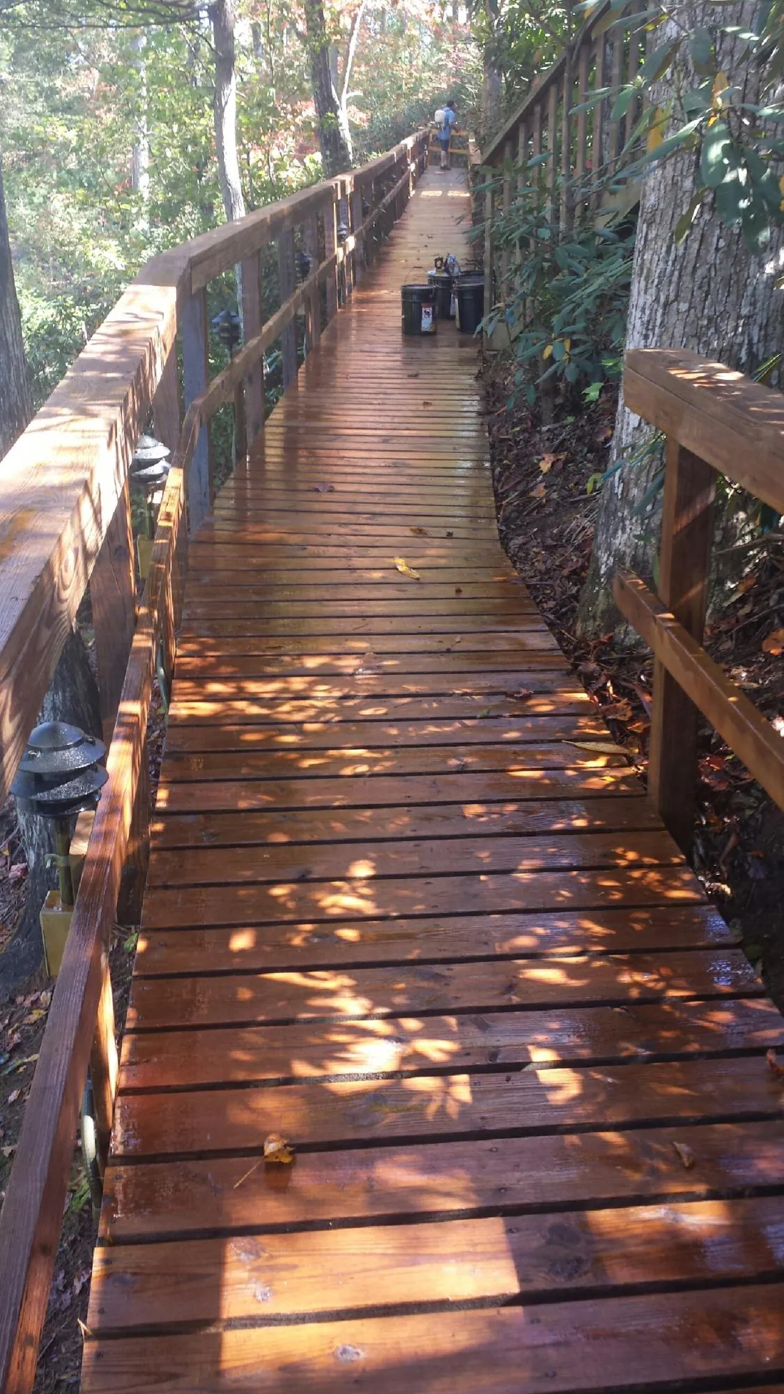 Freshly stained wood walkway winding through the woods in Latrobe